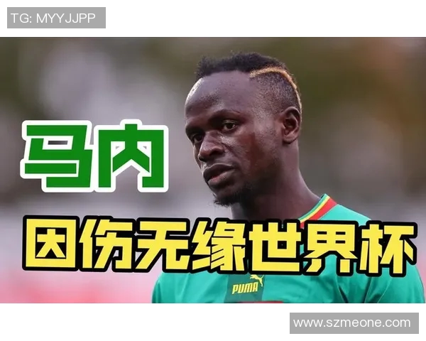 马内的足球之路：从塞内加尔小镇到世界顶级联赛的传奇旅程